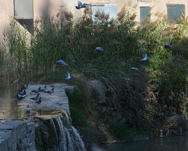 No s'ha trobat l'arxiu